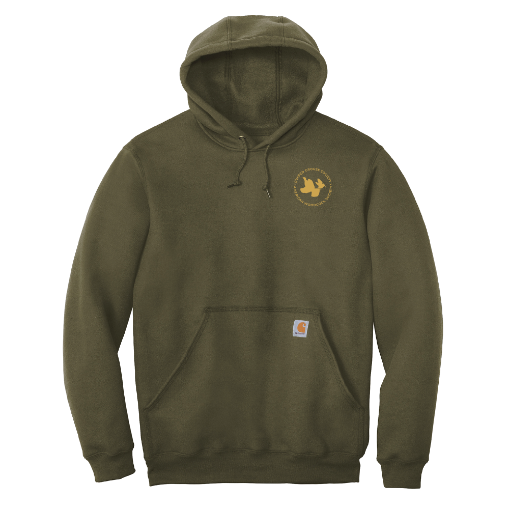 Carhartt Midweight Hooded Sweatshirt: RGS & AWS Circle Logo, Moss