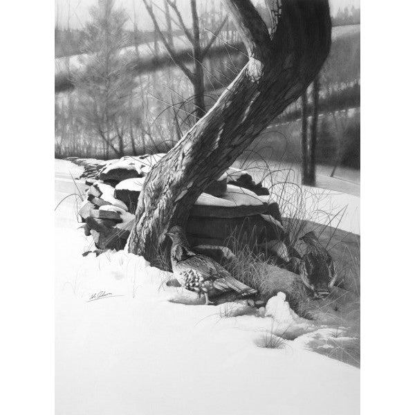 2012 Print of the Year "Old Stone Wall - Ruffed Grouse"