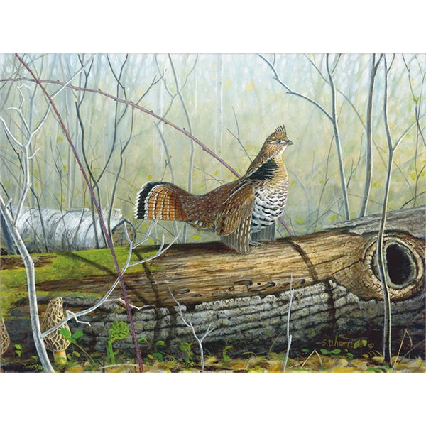 2016 Print of the Year "Ruff Drummer"