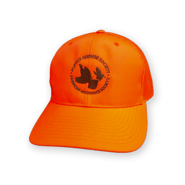 Blaze Orange Cap with RGS & AWS Circle Logo