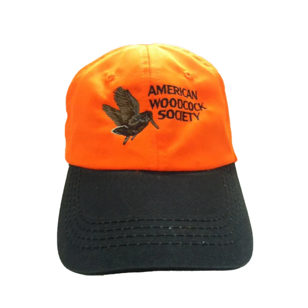 Cap, Lo-profile with Logo Blaze & Brown – RGS & AWS Upland Store