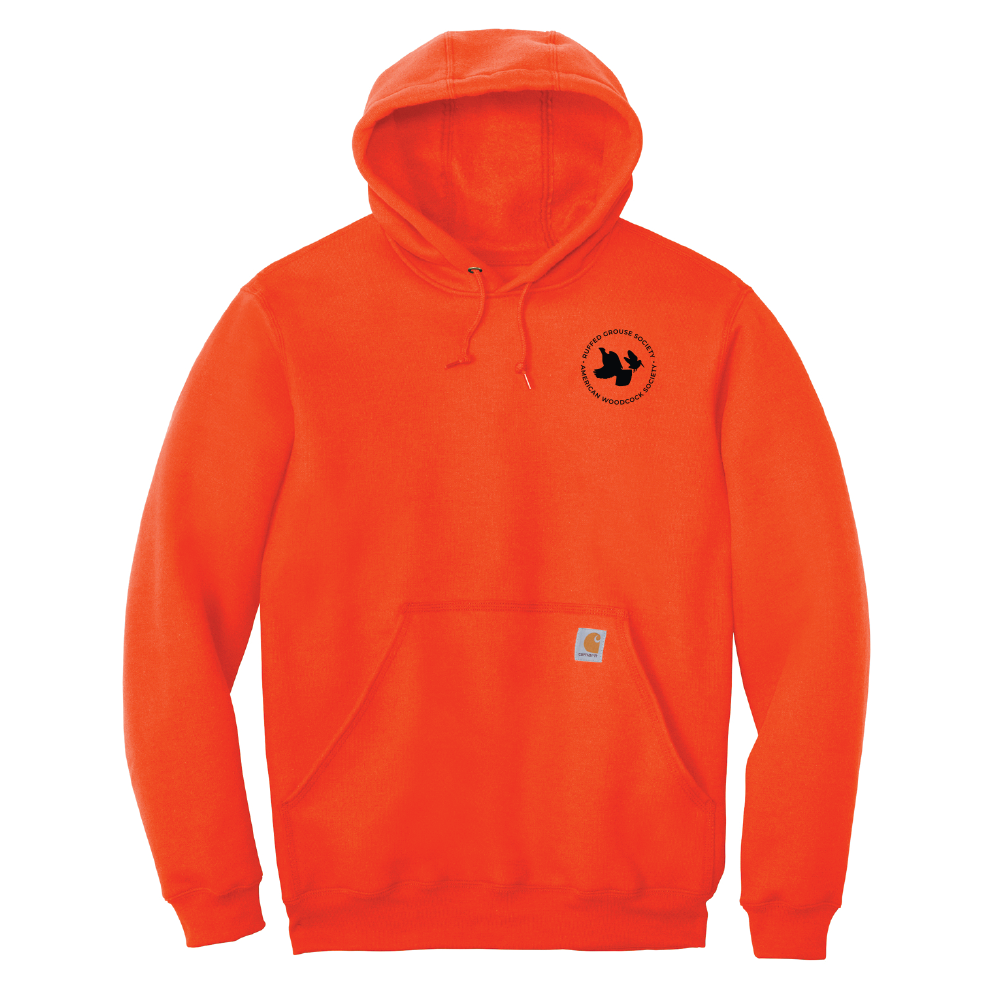 Carhartt Midweight Hooded Sweatshirt: RGS & AWS Circle Logo, Orange