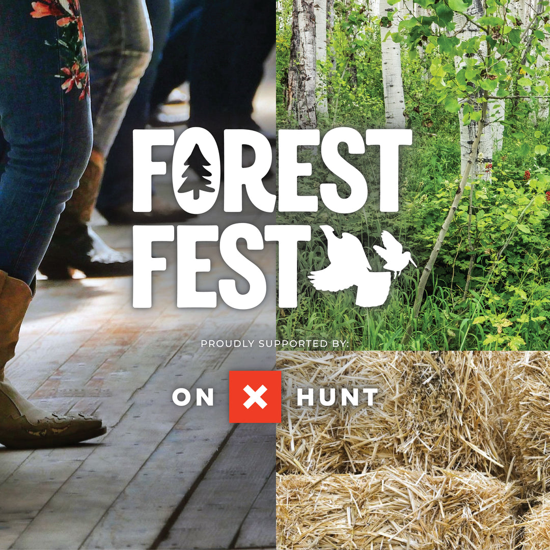 Forest Fest 2026 Sponsorship Packages