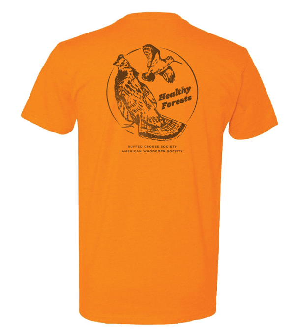 RGS & AWS Healthy Forest Unisex Short Sleeve T-Shirt: Orange