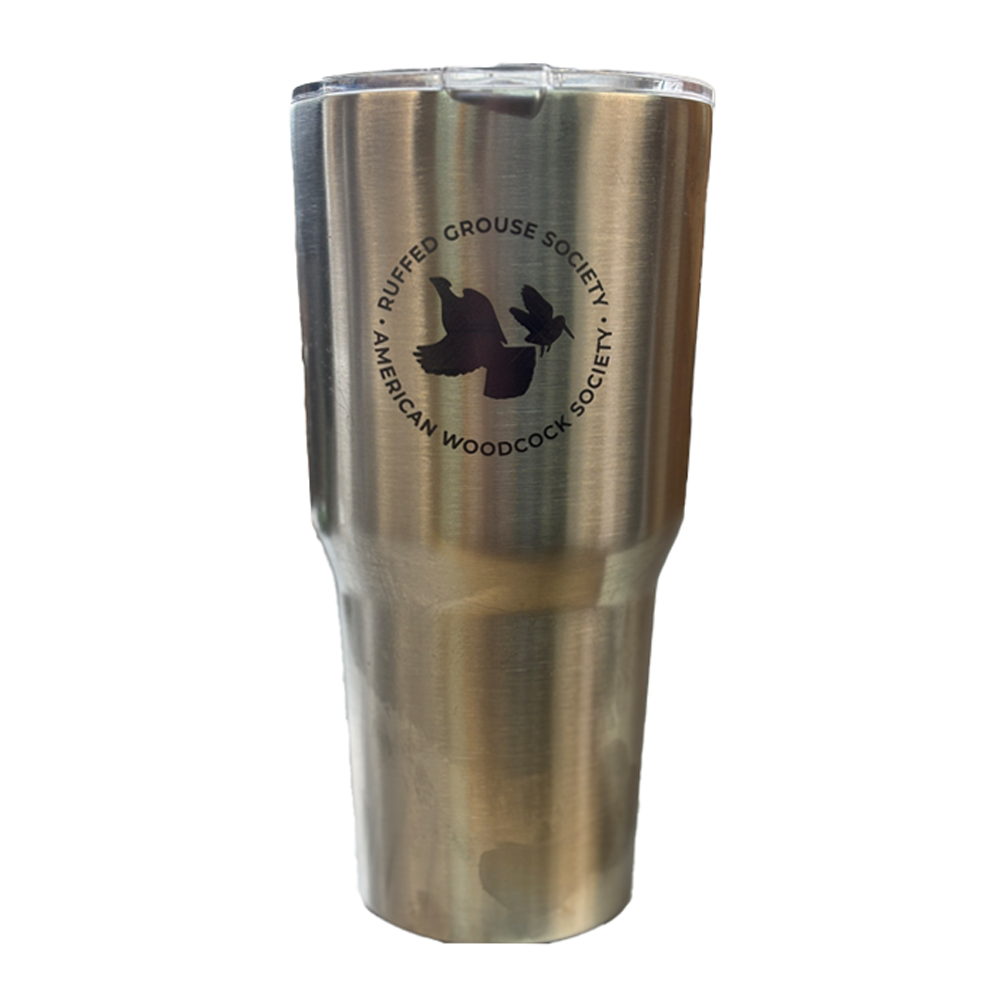 RGS & AWS Stainless Steel, 30 Ounce Tumbler with Straw