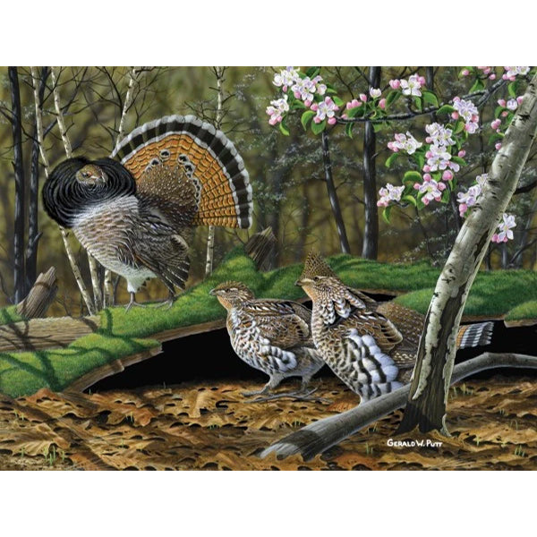 2011 Print of the Year 