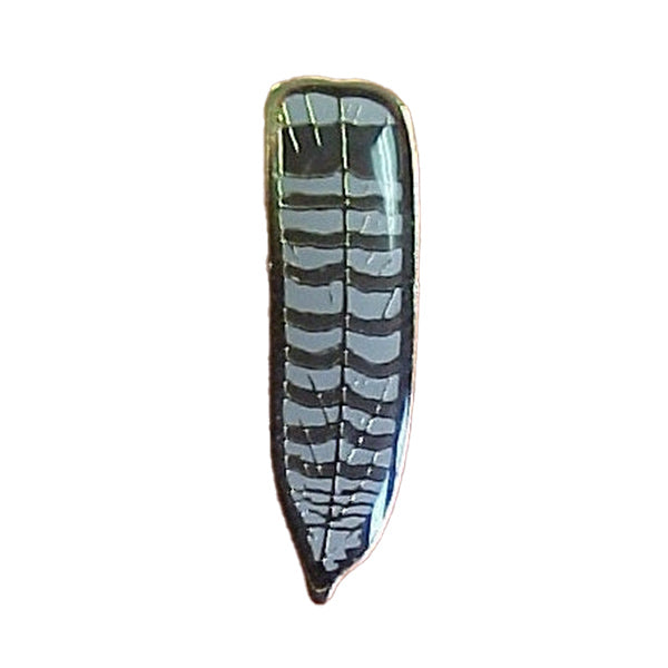 Pin, Member Feather