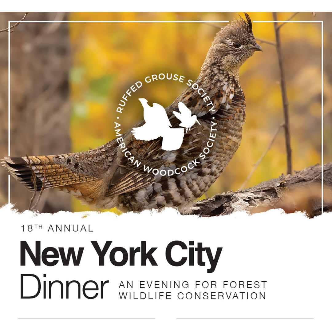 18th Annual New York City Dinner