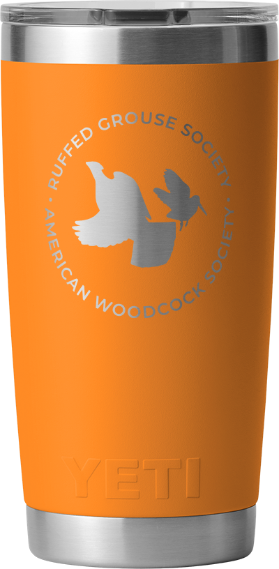 Yeti Rambler 20-Ounce Tumbler with Mud Slide Lid: Orange